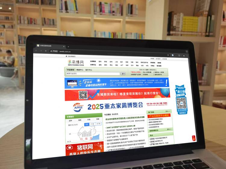 手工羽毛扇网站如何凭借传统工艺传承扩大流量?同行都是怎么做的? 手工羽毛扇网站如何凭借传统工艺传承扩大流量?同行都是怎么做的?